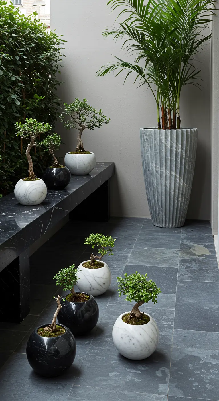 A collection of bonsai trees in round black and white marble pots.