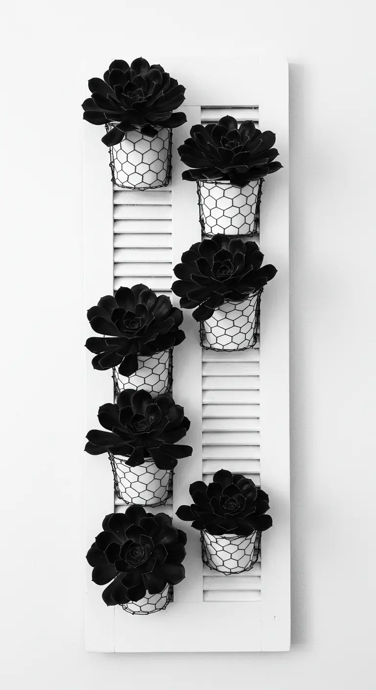 A white shutter with white baskets holding dramatic, nearly black succulents.