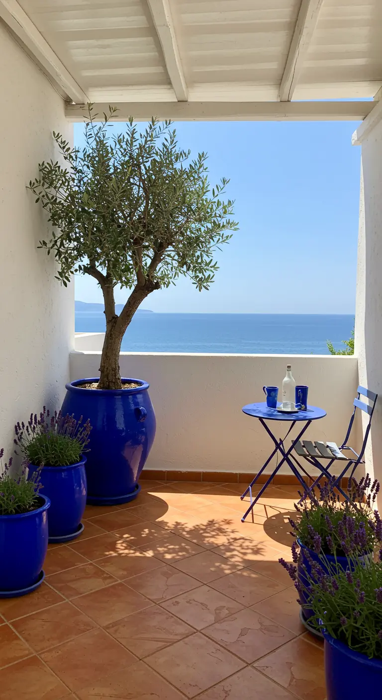 Olive tree in a large cobalt blue pot on a terracotta tiled balcony overlooking the sea.