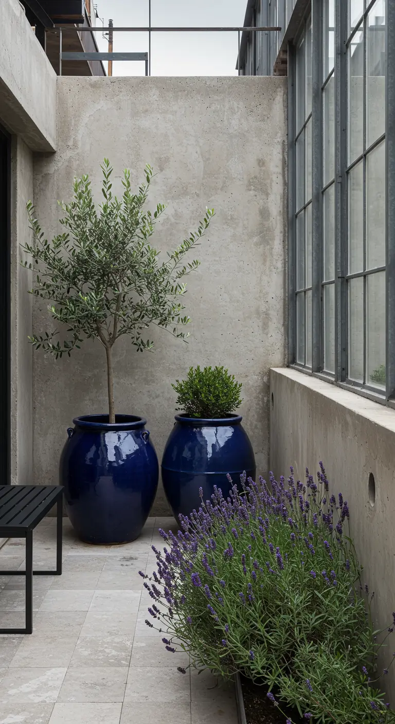 Minimalist concrete patio with two large navy blue pots and a bed of lavender.