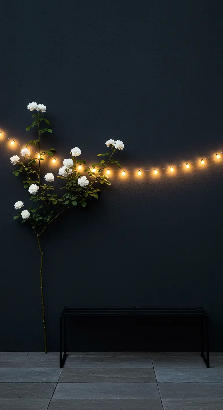 A single white rose bush trained against a dark charcoal wall with a simple string of lights.