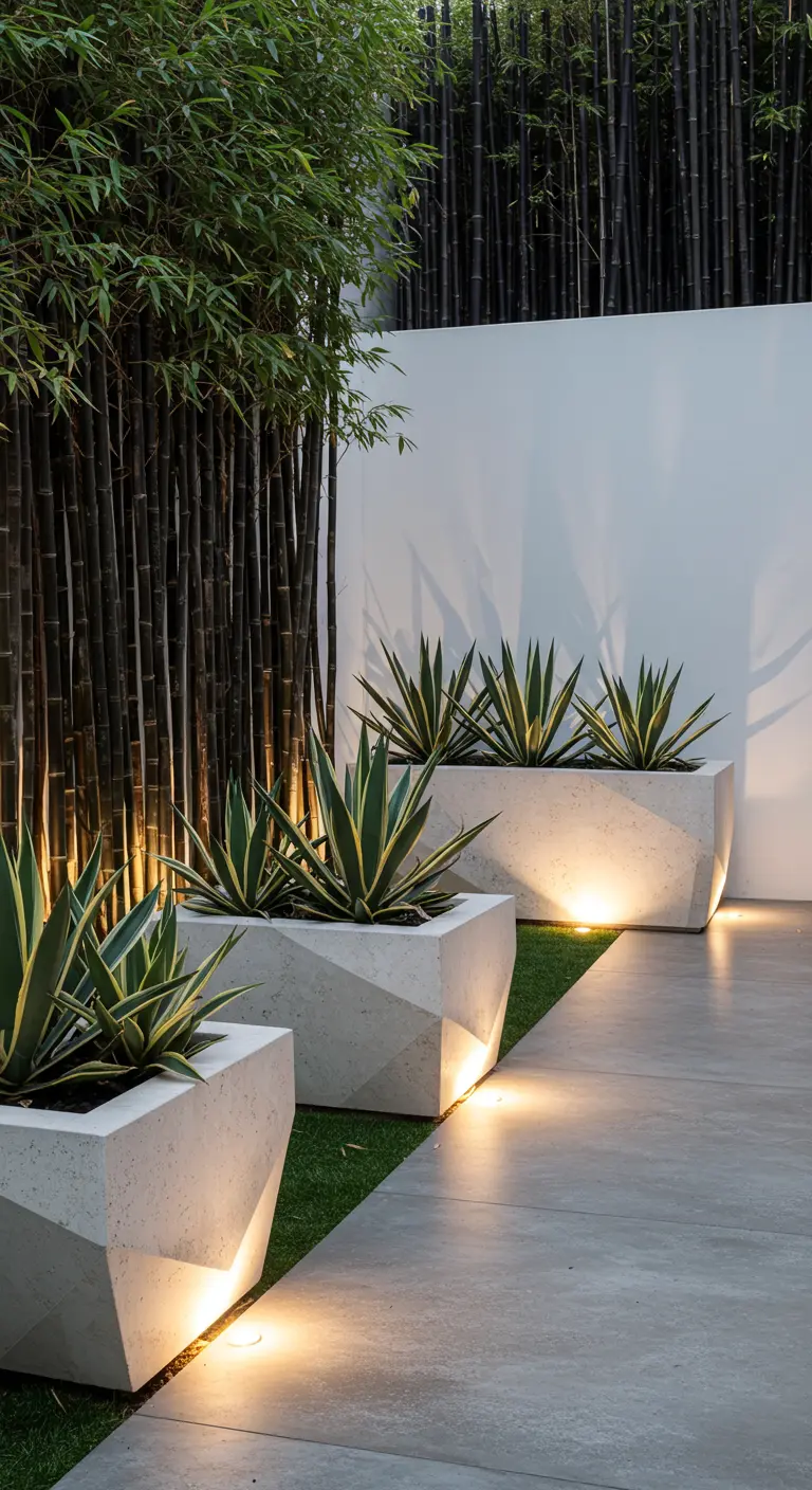 Geometric white planters with agave plants, illuminated from below against a white wall