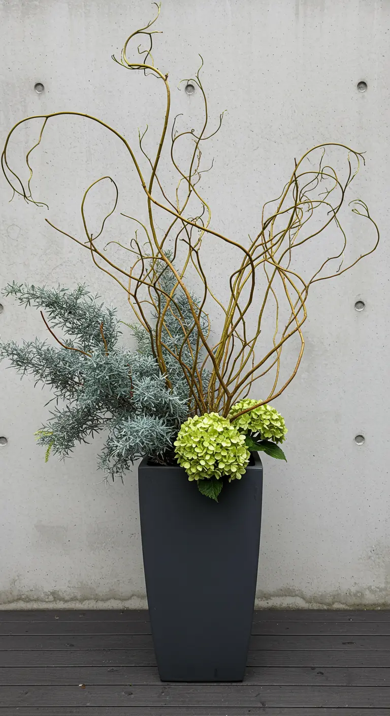 A modern dark gray planter with twisting corkscrew willow branches and green hydrangeas.