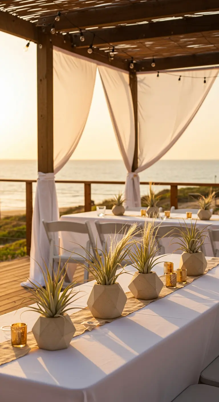 Geometric concrete vases with air plants on a table overlooking the ocean at sunset.
