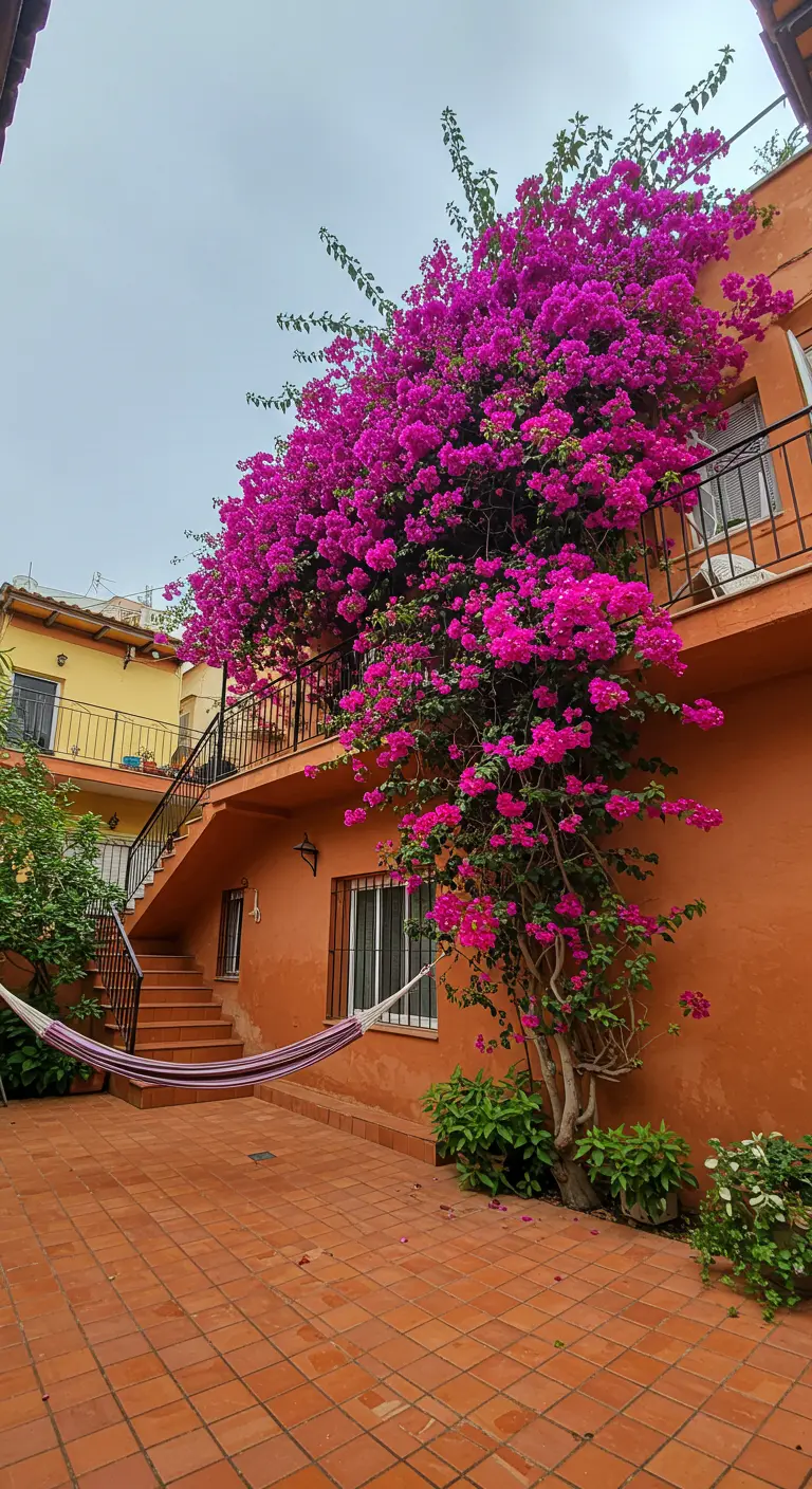 A large Spanish-style courtyard with a hammock strung between the house and a staircase pillar.