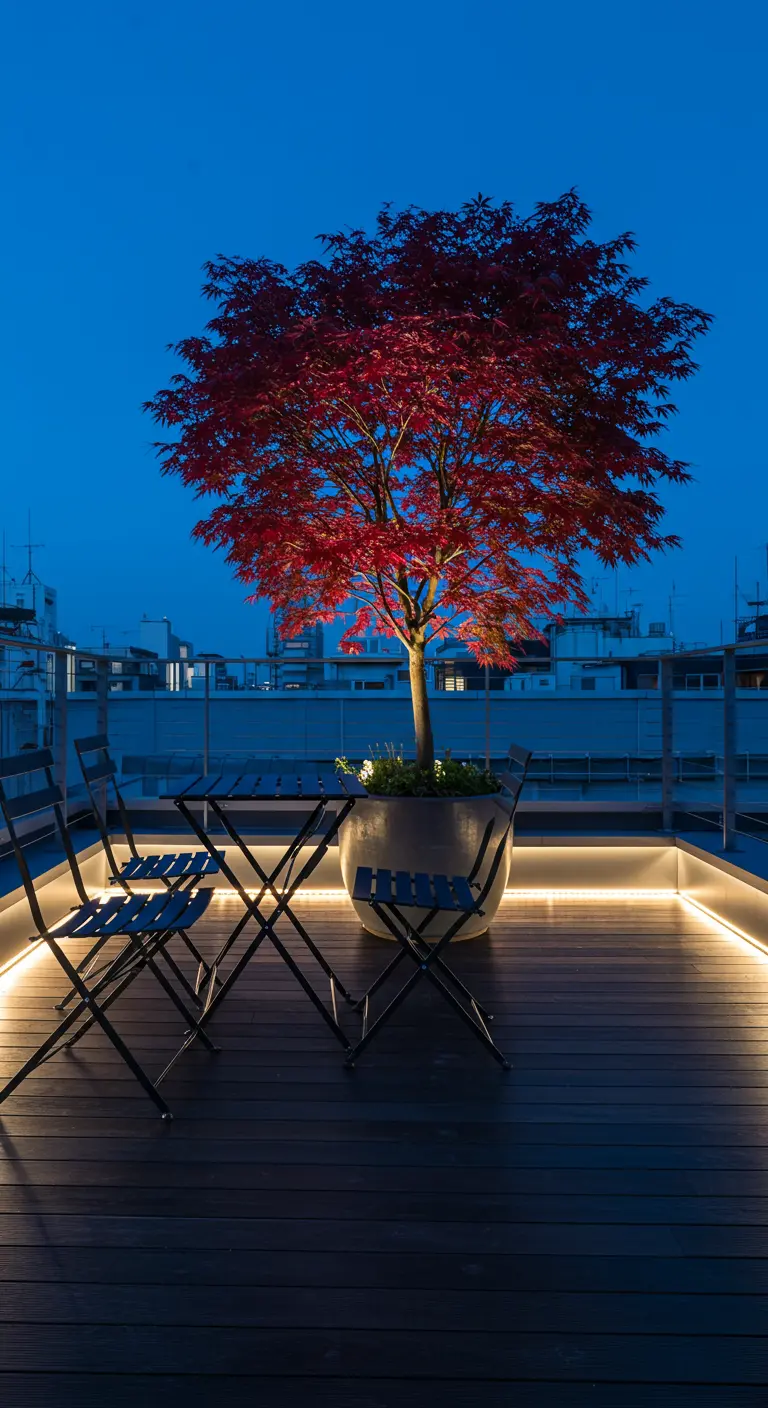 A modern rooftop deck with a red Japanese maple and hidden LED lighting.