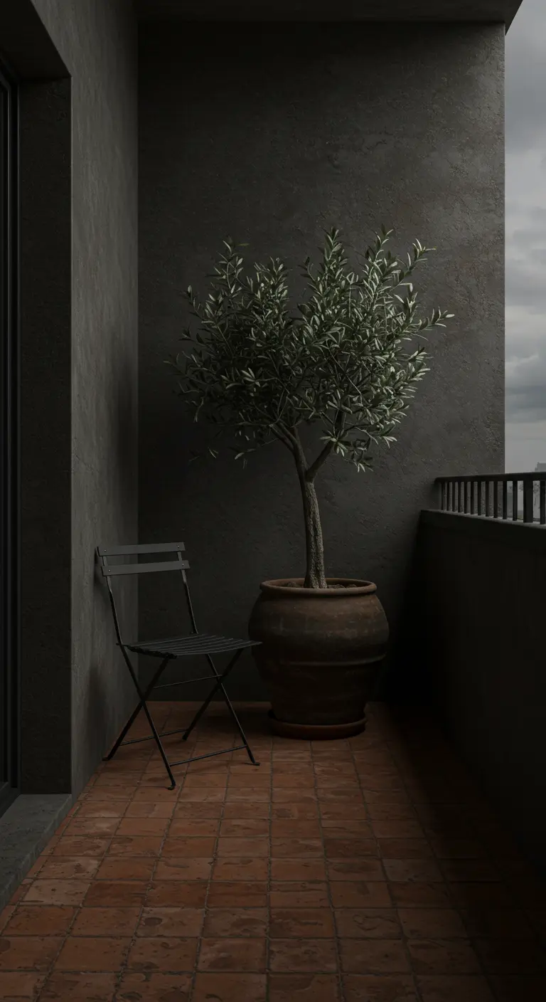 A minimalist balcony with dark grey walls, a single chair, and a potted olive tree.