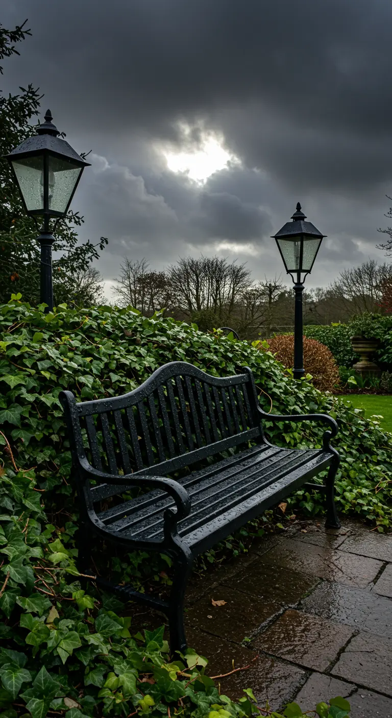 A black park bench glistening with rain, nestled in a lush mound of dark green ivy.
